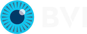 BVI Medical logo